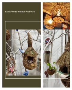 WhatsApp Image 2026-01-05 at 8.38.02 PM